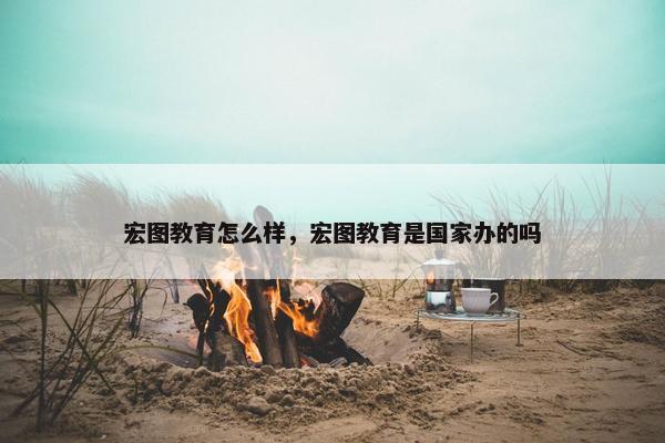 宏图教育怎么样，宏图教育是国家办的吗