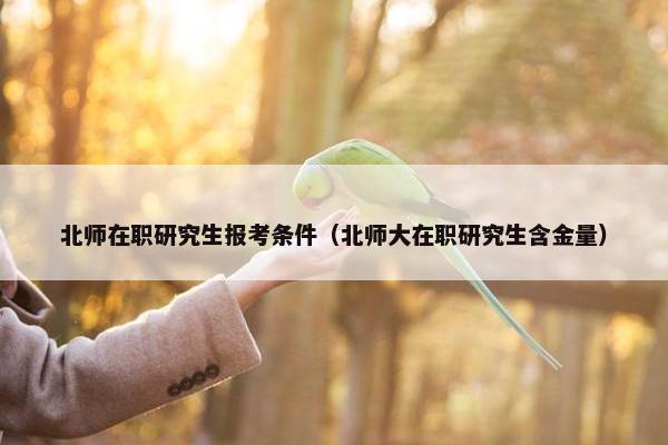 北师在职研究生报考条件（北师大在职研究生含金量）
