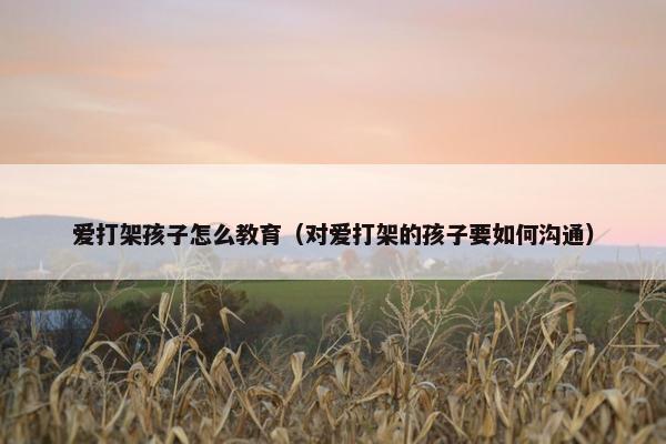 爱打架孩子怎么教育（对爱打架的孩子要如何沟通）