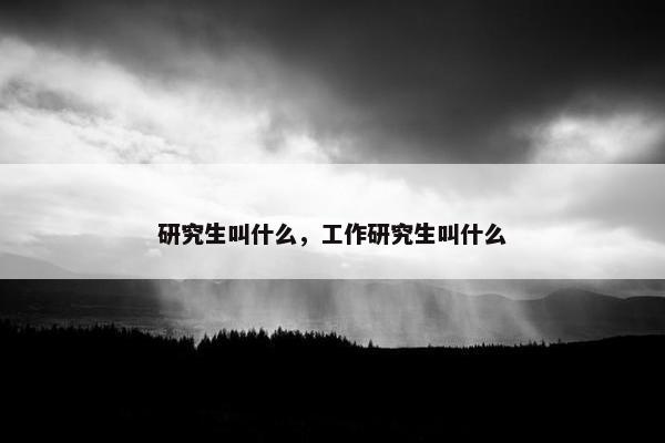 研究生叫什么，工作研究生叫什么