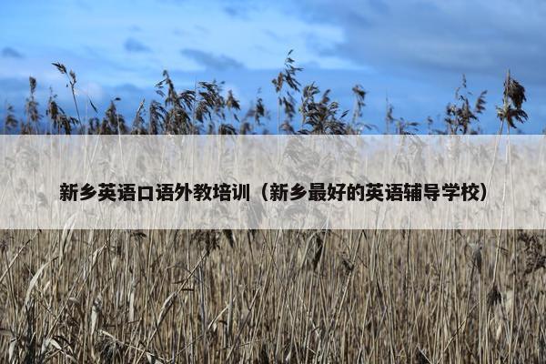 新乡英语口语外教培训（新乡最好的英语辅导学校）