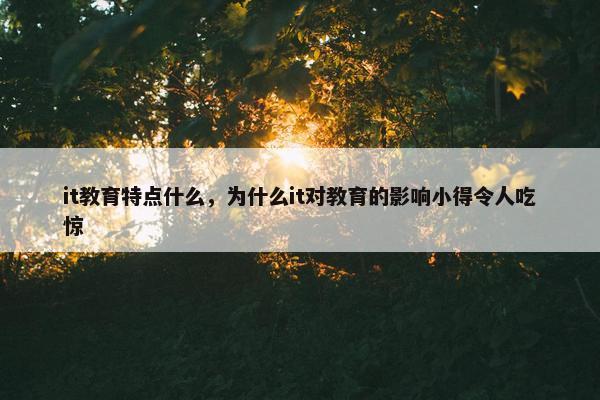 it教育特点什么，为什么it对教育的影响小得令人吃惊