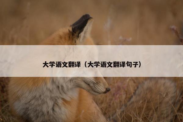 大学语文翻译(大学语文翻译句子) 大学语文翻译(大学语文翻译句子)