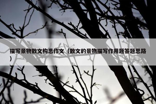 描写景物散文构思作文（散文的景物描写作用题答题思路）