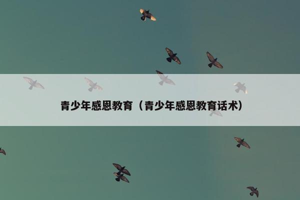 青少年感恩教育（青少年感恩教育话术）