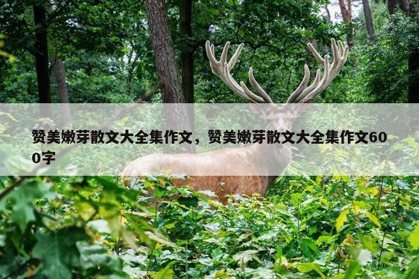 赞美嫩芽散文大全集作文，赞美嫩芽散文大全集作文600字