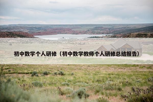 初中数学个人研修（初中数学教师个人研修总结报告）