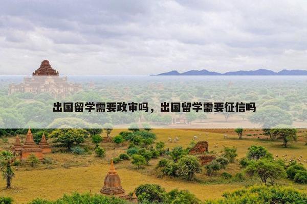出国留学需要政审吗，出国留学需要征信吗