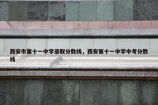 西安市第十一中学录取分数线，西安第十一中学中考分数线