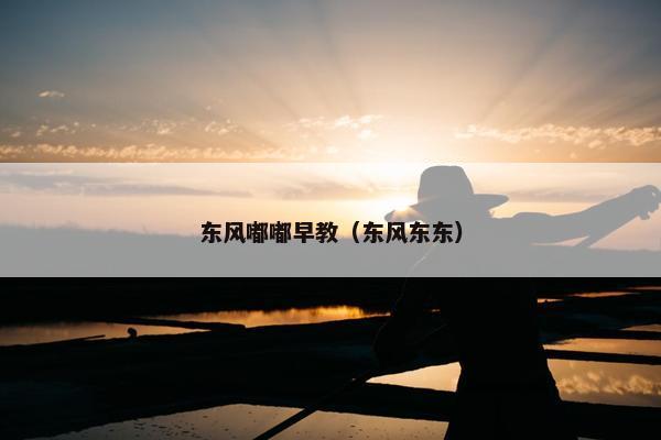 东风嘟嘟早教（东风东东）