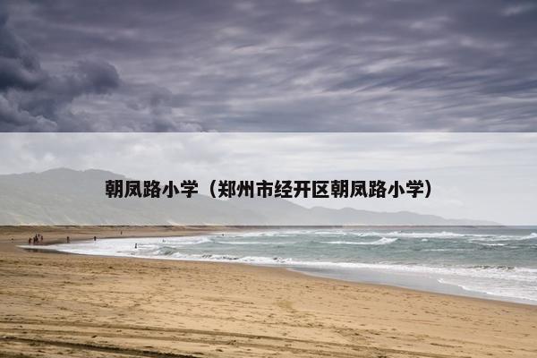 朝凤路小学（郑州市经开区朝凤路小学）