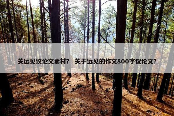 关远见议论文素材？ 关于远见的作文800字议论文？