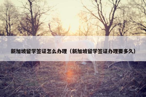 新加坡留学签证怎么办理（新加坡留学签证办理要多久）