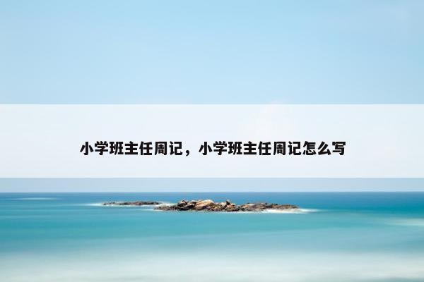 小学班主任周记，小学班主任周记怎么写