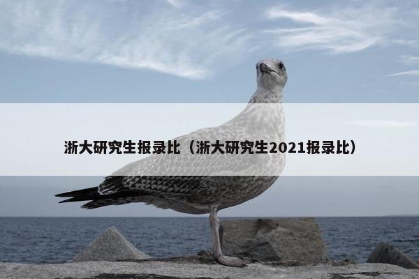 浙大研究生报录比（浙大研究生2021报录比）