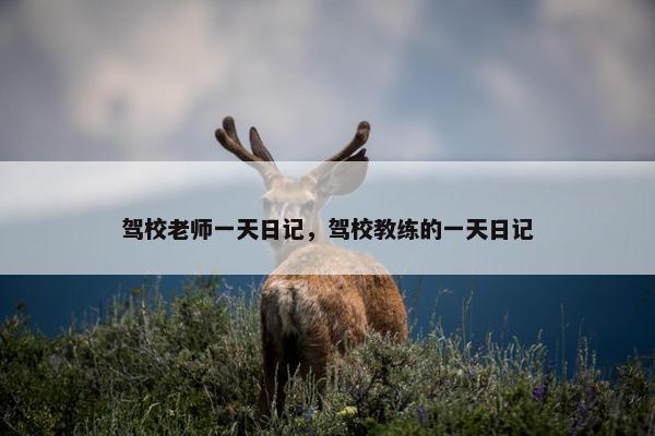 驾校老师一天日记，驾校教练的一天日记