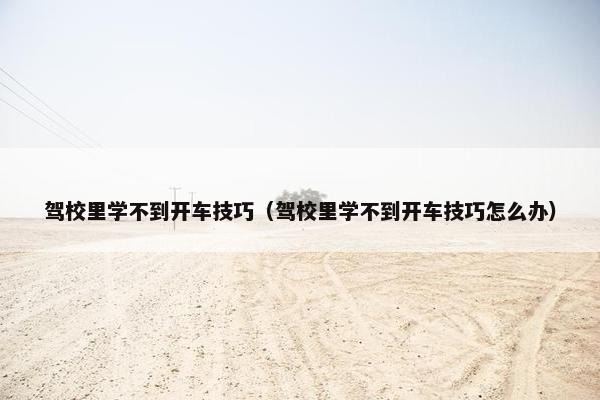 驾校里学不到开车技巧（驾校里学不到开车技巧怎么办）