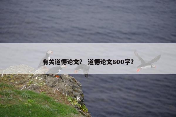 有关道德论文？ 道德论文800字？