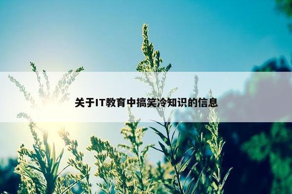 关于IT教育中搞笑冷知识的信息