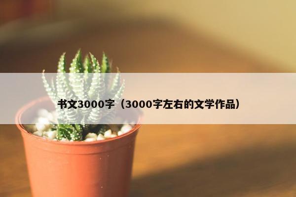 书文3000字（3000字左右的文学作品）