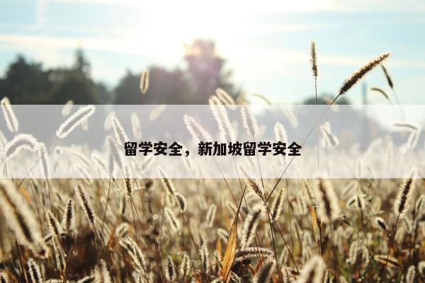 留学安全，新加坡留学安全
