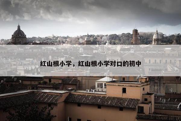 红山根小学，红山根小学对口的初中